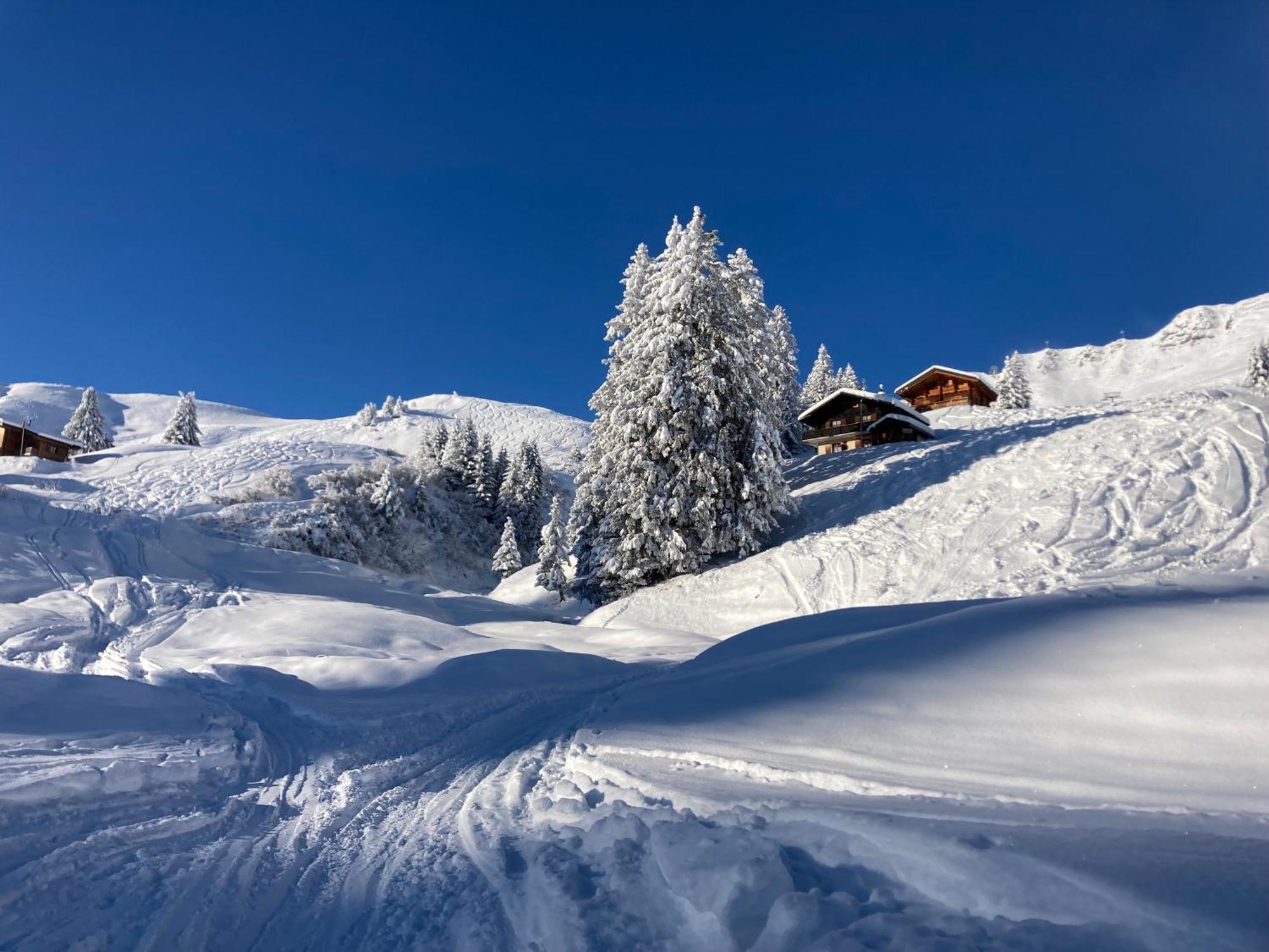 B&B Chalet Rey-Bellet Les Crosets Exterior foto